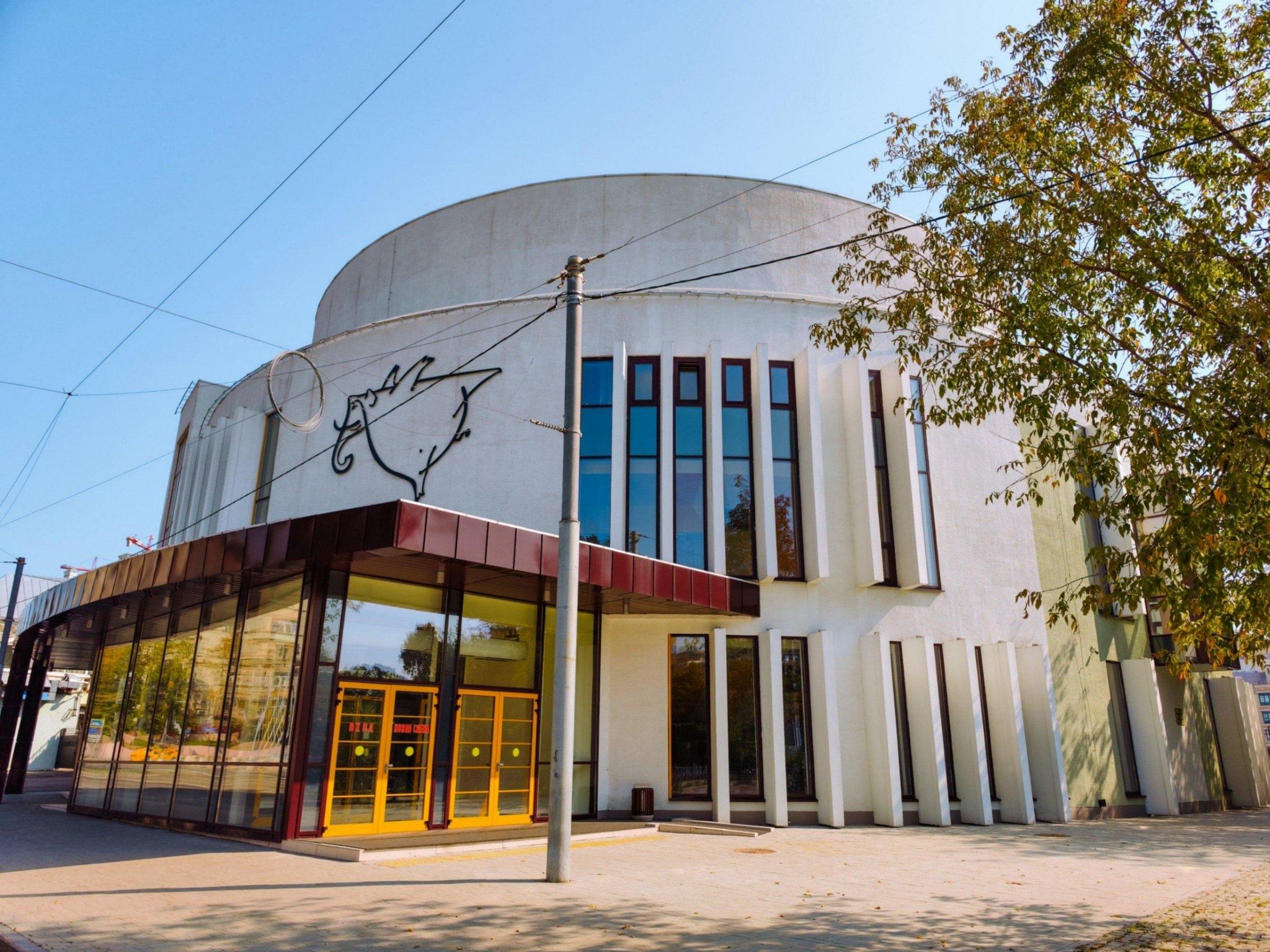 Уголок дедушки Дурова изображение стадиона